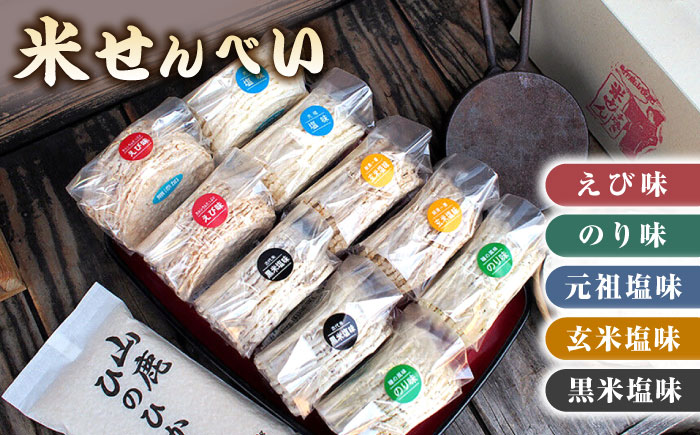 【12回定期便】【こだわり抜いた厳選素材】米せんべい（えび味、のり味、元祖塩味、玄米塩味、黒米塩味）& ヒノヒカリ のセット 【せんべい工房】 [ZBQ008]