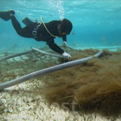ふるさと納税 伊是名村 伊是名島産のもずく佃煮 4パック |  | 03