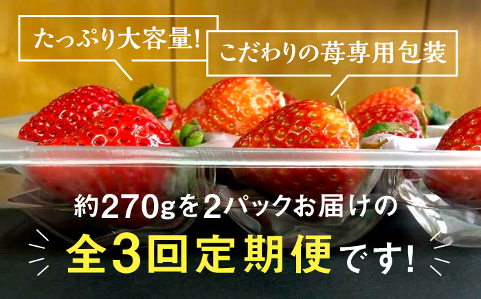 【全3回定期便】農家直送 朝どり新鮮いちご【博多あまおう】約270×2パック＜株式会社H&Futures＞那珂川市 [GDS008]