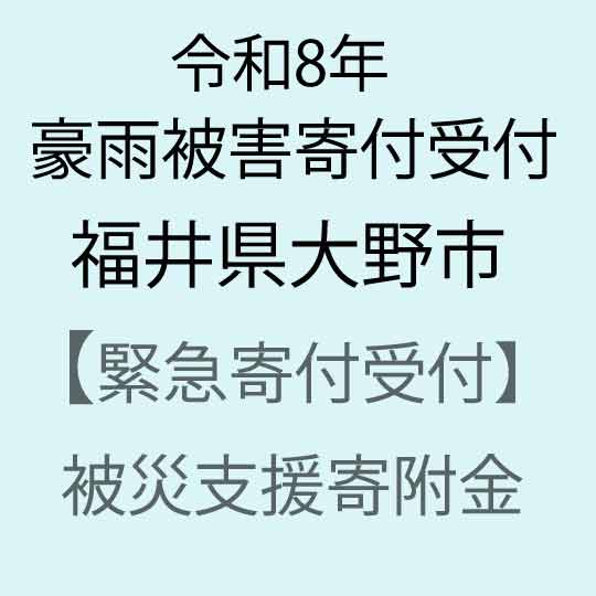 【ふるさと納税】【令和8年福井県豪雨被害災害支援緊急寄附受付】福井県大野市災害応援寄附金（返礼品はありません）