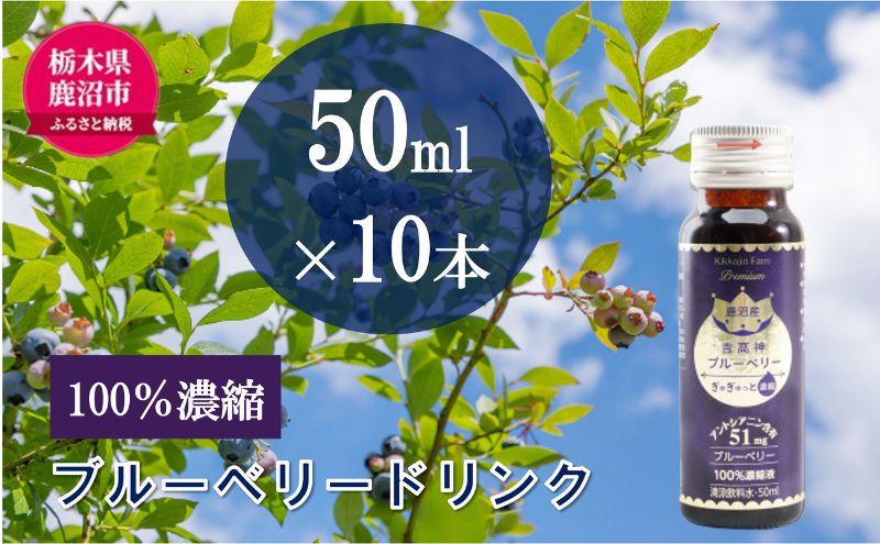 無添加 砂糖不使用 のぎゅぎゅっと 100％ 濃縮 ブルーベリードリンク 2箱 （50ml×10本） 果汁飲料 野菜飲料 ブルーベリージュース 美味しい 濃縮し 高糖度 添加物 安全 安心 アントシアニン 手軽 飲み物 