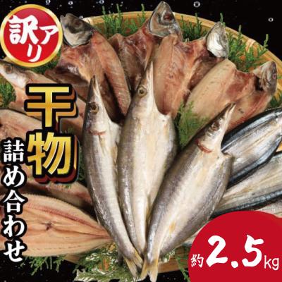 ふるさと納税 小松島市 訳あり 干物 約2.5kg 詰め合わせ ホッケ サンマ アジ カマス 徳島県 小松島市