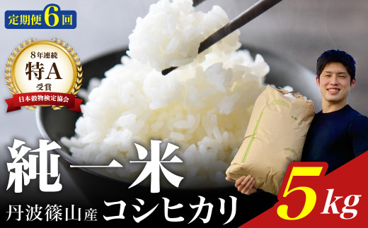 定期便6回【令和７年産】丹波篠山産　コシヒカリ　5kg 兵庫県 丹波篠山市 白米 100％単一原料米 産地直送米 おいしい お米 精米 コシヒカリ ブランド おこめ 健康 送料無料 おすすめ 人気 口コミ