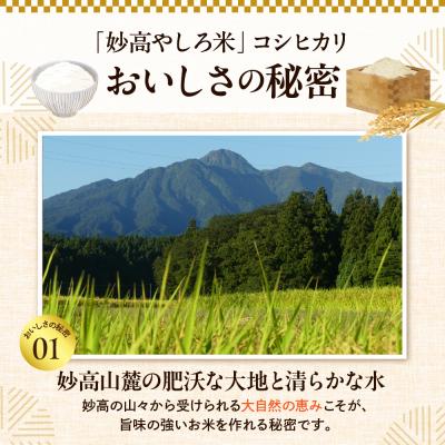 ふるさと納税 妙高市 令和7年産 新潟県 妙高やしろ米 コシヒカリ10kg(5kg×2袋) 【11月中旬より発送】 |  | 01