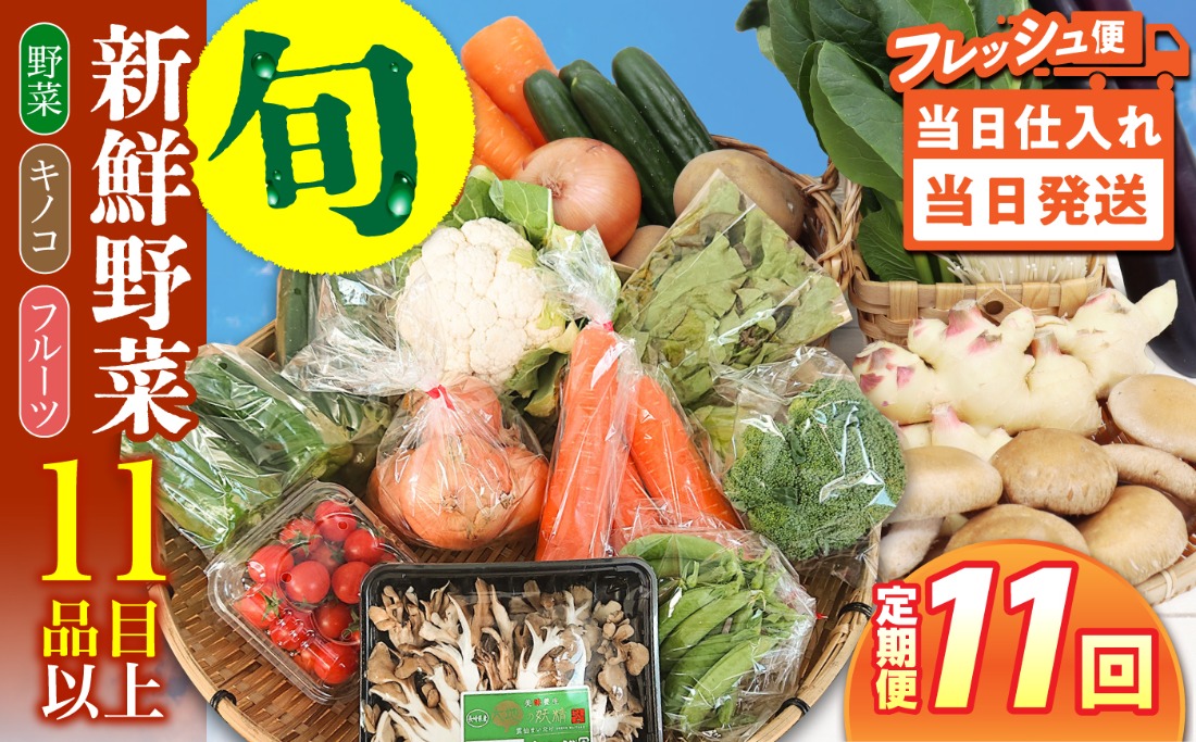 【毎月コース】野菜 キノコ 果物 11品目 詰め合わせ 11回 定期便  / 南島原市 / 吉岡青果[SCZ037]