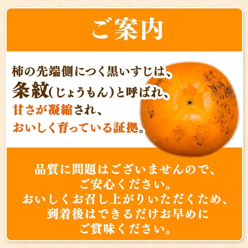 【先行予約】こだわり栽培ポット柿（太秋柿） 3Lサイズ9個入り ※離島への配送不可  ※2026年10月中旬～11月上旬頃に順次発送予定