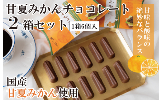 
甘夏みかんチョコレート 2箱セット 瀧のしずく
