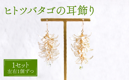 ヒトツバタゴ 耳飾り ( ピアス / イヤリング 選択可能 ) アメリカンフラワー フック おしゃれ アクセサリー  [WBP004]