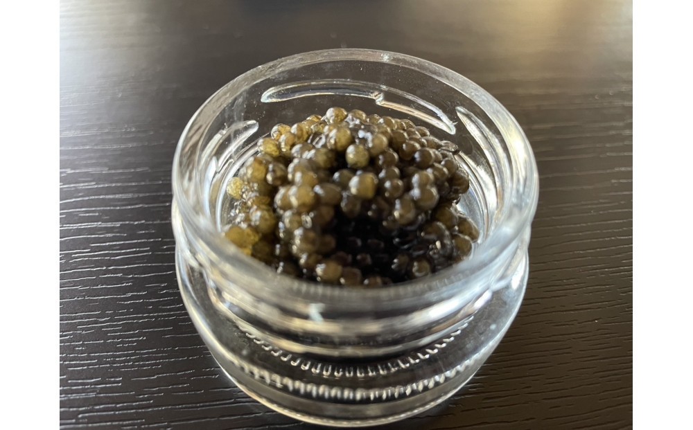
            南信州キャビア「天女のほほ笑み」15g
          