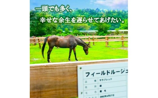 競走馬 引退後はどこへ？ 黒潮友馬会応援 【1,000万円コース】 1000万円コース
