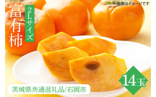 
                  【2026年10月下旬より順次発送】【数量限定】富有柿 2L 14玉【茨城県共通返礼品/石岡市】【水戸市 茨城県 カキ 柿 フルーツ 果物 くだもの 富有柿 ジューシー 甘い】（IU-10）
                