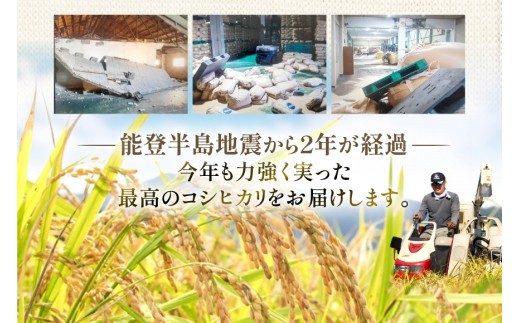 米 定期便 石川米こしひかり【穂立】10kg×3回 総計30kg 令和8年産 新米 [中橋商事 石川県 宝達志水町 38601405] コシヒカリ お米 コメ 3ヶ月 白米 精米 おこめ こめ 能登 