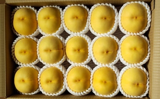 【数量限定】桃（黄貴妃）５ｋｇ　特秀品　0106-2505