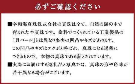 真珠 フープピアス 8.5～9.0mm 大珠 シルバー パール アクセサリー （859）