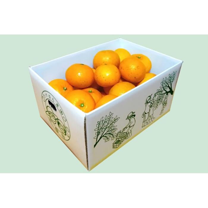 【ふるさと納税】【2026年発送分 先行受付】たんかん ご家庭用バラ詰め5kg【たけはら農園】 | 鹿児島県 鹿児島 瀬戸内町 九州 奄美大島 奄美 楽天ふるさと 納税 特産品 名産品 お取り寄せ ご当地 グルメ フルーツ 果物 柑橘 たんかん タンカン