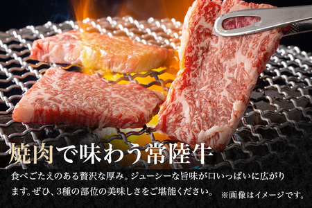 焼肉セット 約800g 国産 和牛 黒毛和牛 常陸牛【焼肉】【ho0900】