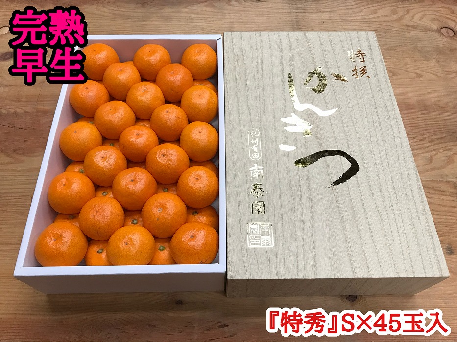 年内発送 完熟早生 有田みかん 化粧箱 特秀 S サイズ 45玉入 和歌山 南泰園 みかん BS636