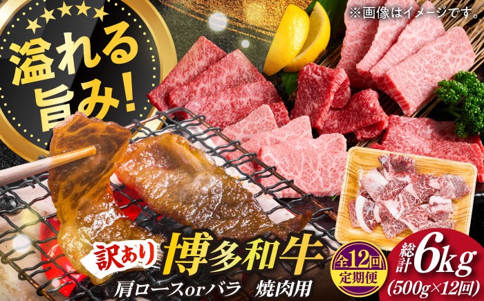 【全12回定期便】【訳あり】博多和牛 焼肉 切り落とし 500g《築上町》【MEAT PLUS】肉 お肉 牛肉[ABBP153]