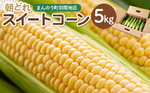 ＜期間限定・数量限定！2025年6月中旬以降順次発送予定＞スイートコーン (約5kg) とうもろこし トウモロコシ コーン 朝採り 朝採れ 国産 とうきび 甘い 生でも美味しい 産地直送 新登場【man204】【Bettim farm】