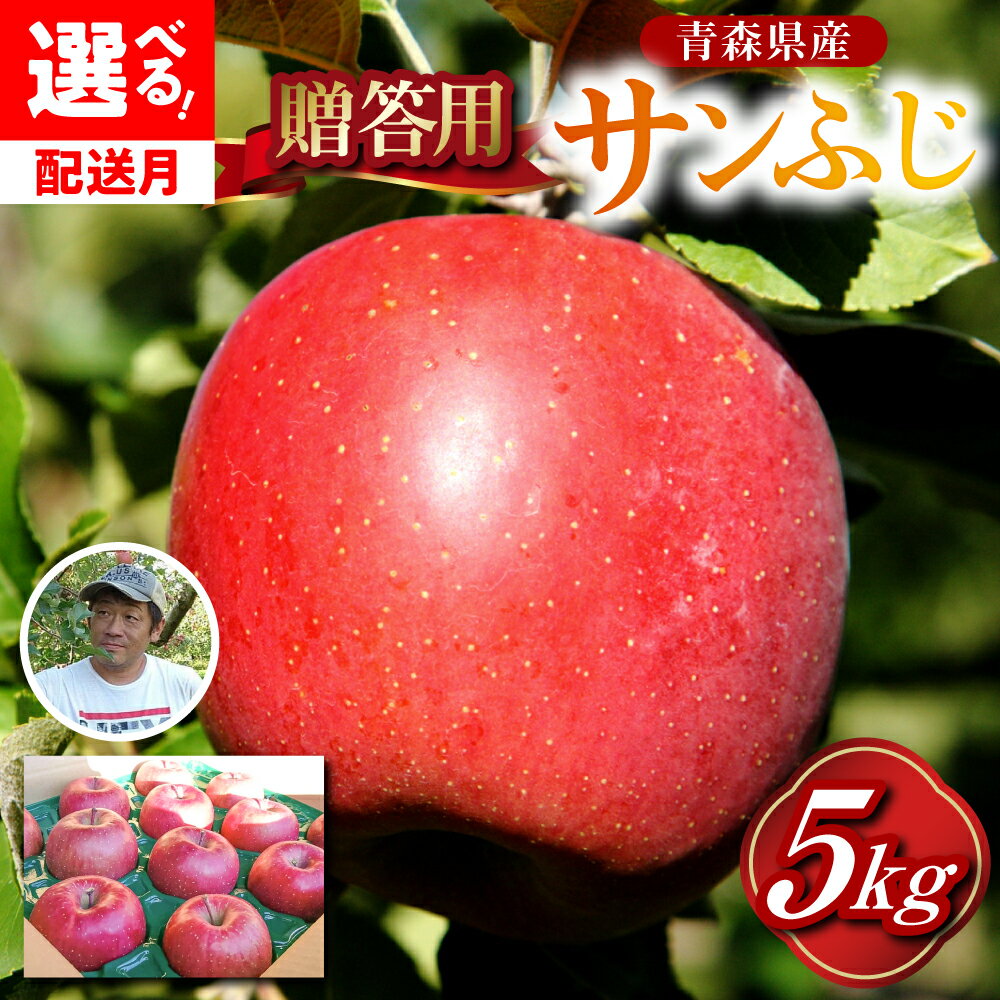 【ふるさと納税】 りんご 贈答用 サンふじ 約 5kg ( 配送時期が選べる 12月～2月 ) / 青森産 りんご フルーツ 果物 林檎 贈り物 アップル 果物 くだもの 青森 五所川原 リンゴ さんふじ サンフジ 青森りんご 12月 1月 2月