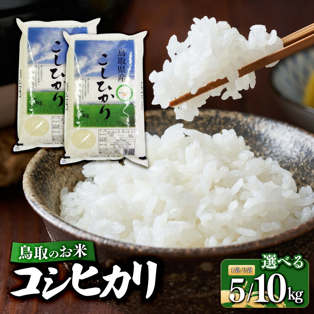 【ふるさと納税】【容量が選べる】鳥取のお米　コシヒカリ　5kg又は計10kg（5kg×2袋） 精米 | R7年産 2025年産 米 こめ ご飯 ごはん おにぎり おむすび 夕食 5キロ 鳥取県産 北栄町 おすすめ 人気