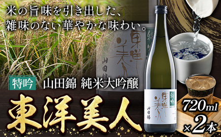 日本酒 東洋美人 特吟 山田錦 純米大吟醸 2本 計1440ml 1本あたり 720ml 福岡吟醸倶楽部株式会社《30日以内に出荷予定(土日祝除く)》福岡県 鞍手郡 鞍手町 酒 冷酒 送料無料