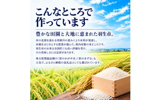 椅子 スツール インテリア 家具 いす ホワイトオーク 手作り オーダーメイド チェア クラフト ハンドメイド ウッド アイアン 木製家具 鉄製家具 新生活 リビング  キッチン Walt Desig