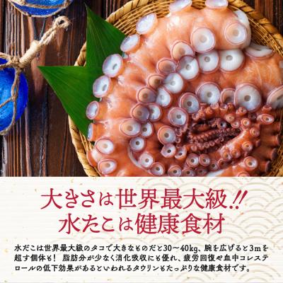 ふるさと納税 紋別市 【ホワイトデー】水だこ太足 小分け真空パック約1kg |  | 03