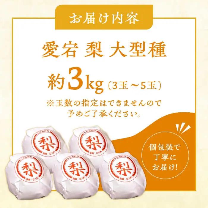 【12月上旬発送開始】愛宕梨 約3kg (3玉-5玉) / 梨 なし ナシ フルーツ[AFAR025]
