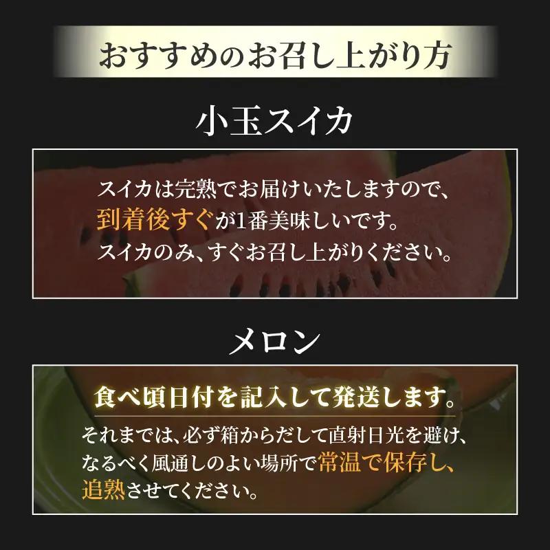 【先行予約】【秀品】佐藤農園の小玉スイカとレノンメロンのセット 計2玉 / 農家直送 有機肥料 低農薬 すいか フルーツ 果物 くだもの 野菜 赤い食べ物 甘い 贈答 旬 夏 ※2027年6月中旬～7