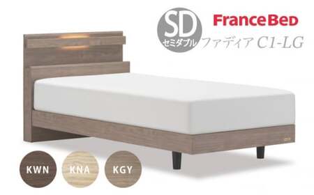 フランスベッド ファディア FAD-C1 LG（脚付タイプ） 【 マットレスつき 】 M セミダブル S-225