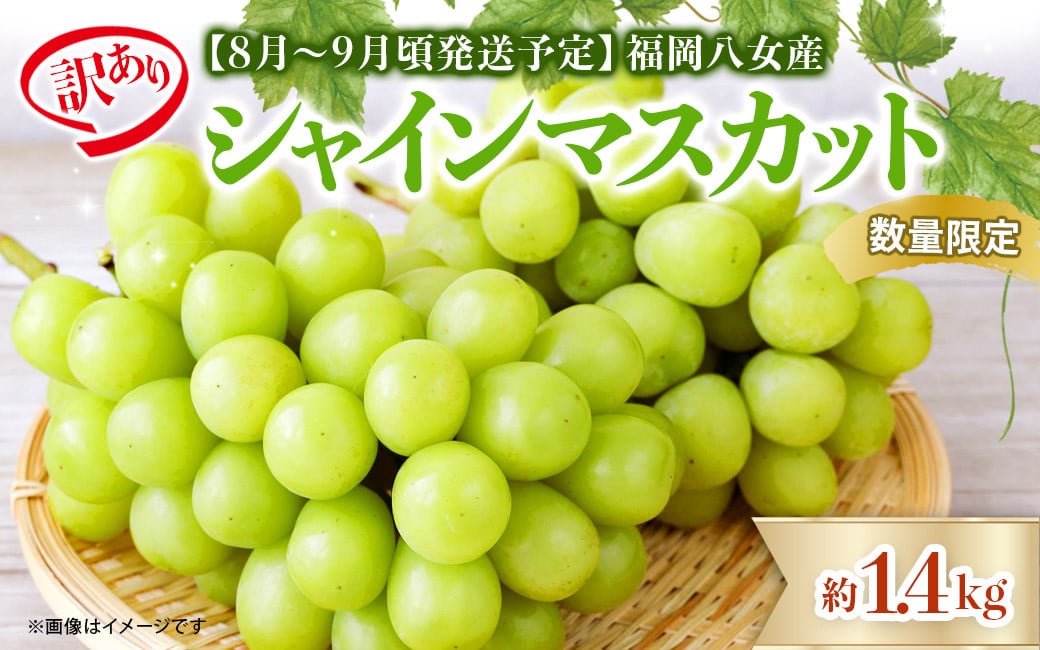 
                  【先行受付】【2026年発送】【訳あり】【数量限定】九州福岡フルーツ王国八女　シャインマスカット 約1.4kg＜配送不可：北海道・沖縄・離島＞ 数量限定 約1.4kg 自宅用  果物 くだもの フルーツ ぶどう 葡萄 ジューシー 種なし 冷蔵 九州 福岡県 八女市
                