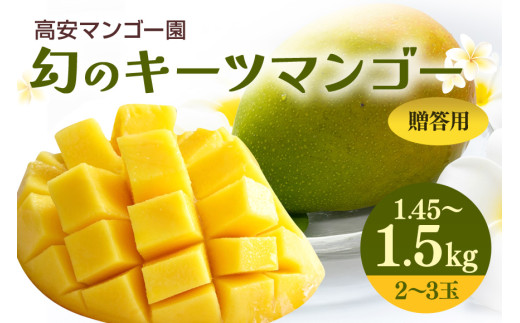 【 先行予約 2025年 発送 】高安マンゴー園キーツマンゴー 1.45-1.5kg(贈答用) 沖縄県産  完熟マンゴー 果物 くだもの フルーツ 沖縄 お取り寄せ ギフト 産地直送 農家直送 糸満市 