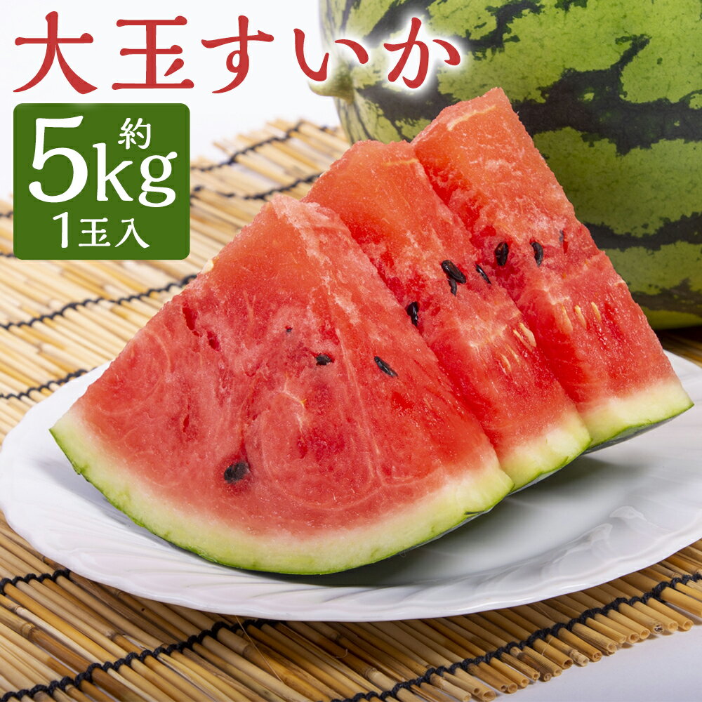 【ふるさと納税】大玉すいか 1玉 L以上 約5kg フルーツ 果物 西瓜 スイカ 熊本スイカ 熊本県産 九州産 送料無料 【2026年5月上旬～6月下旬発送予定】