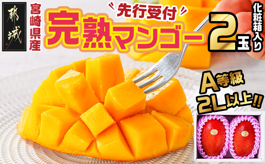 【先行受付!】宮崎県産完熟マンゴー(A等級) 【2L以上×2玉】≪2025年5月中旬以降順次お届け≫_22-0101