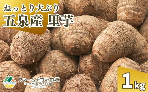 【令和8年産先行予約】 五泉産 大玉さといも 1㎏（2L以上） 新潟県 五泉市 ファームみなみの郷　