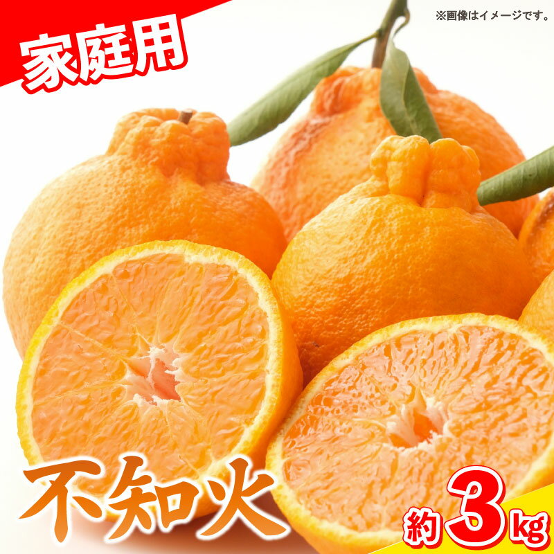 【ふるさと納税】 しらぬい 不知火 3kg 家庭用 9～10個入り みかん デコポン 柑橘 サイズ不揃い 果物 フルーツ 柑橘 徳島県 阿波市 宮田農園