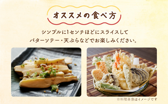 食欲の秋！きのこの詰め合わせ(ぶなしめじ・ゆきれいたけ・王リンギ各5パック)AT17