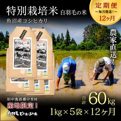 ふるさと納税 十日町市 【毎月定期便】農家直送!魚沼産コシヒカリ特別栽培 精米(1kg×5袋)全12回