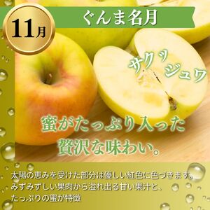 りんご 志賀高原 定期便 3ヶ月 りんご