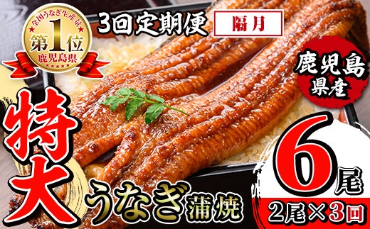 i1172-B ＜定期便・計3回(隔月)＞＼特大サイズ／鹿児島県産 うなぎ蒲焼 2尾セット＜（約220g×2・計約440g）×全3回＞ 定期便 たれ 山椒付きうなぎ 鰻 ウナギ 特大 特大サイズ 約220g 蒲焼き 国産 鹿児島県産 焼きたて 生産量日本一 真空パック おかず 晩御飯 特別な日  【薩摩川内鰻】