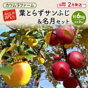 【ふるさと納税】りんご 【2月発送】カワムラファーム 訳あり 葉とらず サンふじ & 名月 セット 約6kg 【弘前市産 青森りんご】 青森 弘前　お届け：2025年2月1日～2025年2月28日