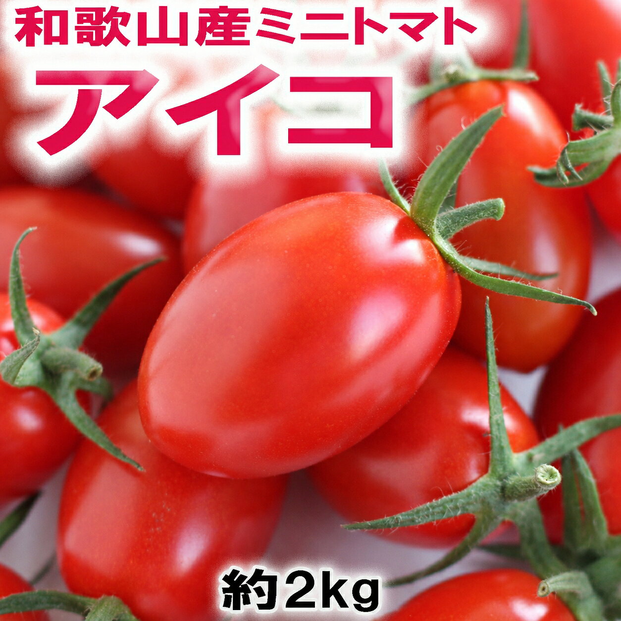 【ふるさと納税】和歌山産ミニトマト「アイコトマト」約2kg（M・Lサイズおまかせ）［2027年出荷分］【発送月をお選びいただけます】