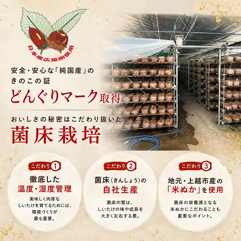 【訳あり】不揃い 生しいたけ 肉厚 約500g 秋山農場 しいたけ