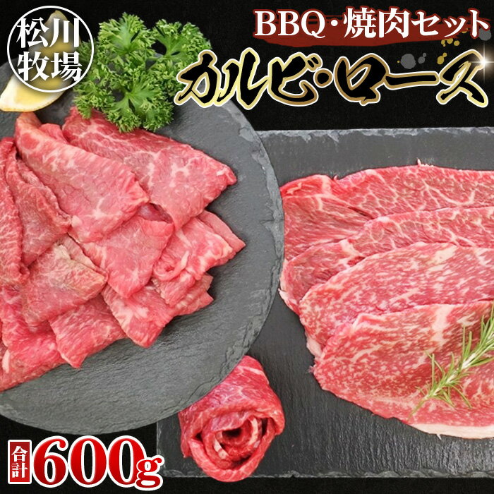 【ふるさと納税】松川牧場のこだわり牛肉　BBQ・焼肉セット 600g［No.031］／ロース部位から1パック カルビ部位から1パックお届け 松川牧場