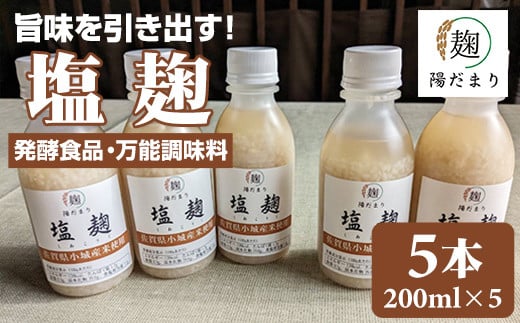 旨味を引き出す塩麹5本セット 発酵食品 オーガニック そよかぜ