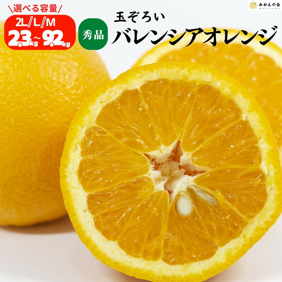 【ふるさと納税】【選べる容量】バレンシアオレンジ 国産 玉ぞろい 秀品 箱込 2.5kg～10kg (内容量 2.3～9.2kg ) 2L L M サイズのいずれか 和歌山県産 産地直送【みかんの会】 | バレンシア バレンシアオレンジ オレンジ 国産 夏柑橘 有田 和歌山