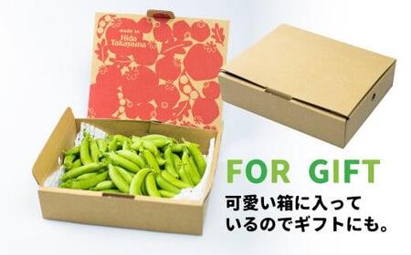 【先行予約】 スナップエンドウ 560g 春 | 春 FN-Limited-PR