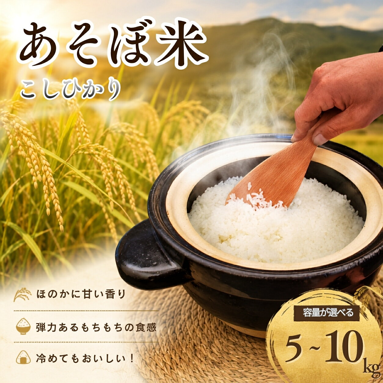 【ふるさと納税】 令和7年産 あそぼ米 こしひかり 5kg 10kg 選べる容量 米 お米 こめ おこめ 白米 ご飯 ゴハン
