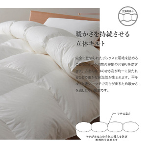  抗菌 ・ 抗ウイルス 加工 羽毛肌掛けふとん ( セミダブル )【甲州羽毛ふとん】  セミダブル布団 抗菌布団 